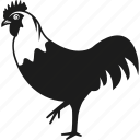 animal, chicken, rooster, farm