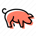 pig, farm, animal, livestock