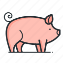 piglet, pig, farm, animal