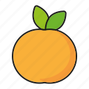 apricot, food, fresh, fruit, peach