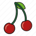 cherries, cherry, food, fresh, fruit, pair, sweet