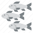 small, fish, animal, sea, life