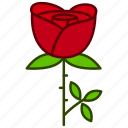 ecology, flower, garden, love, rose, valentines, flowers