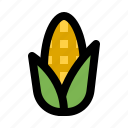 corn, cooking, food, healthy, sweet, vegetable, vegetarian