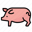 animals, farm, pig, pork, wildlife