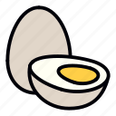 egg, eggs