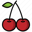 cherry, fruit, healthy, food, vegetable, drink, sweet