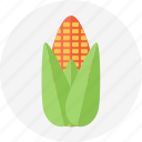 corn, japanesecorn, sweetcorn, yellow corn