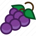 food, fruit, grape, plant, wine