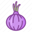 onion, vegetable, cooking, kitchen, food