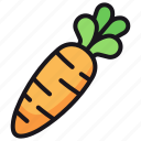 carrot, food, vegetable, healthy, vegan