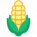 corn, food, vegetable, healthy, gastronomy