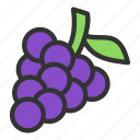 berry, blackcurrant, crop, grape