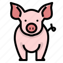 animal, farm, husbandry, pig, pork