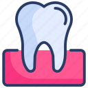 dentist, dentistry, gum, gums, healthcare, teeth, tooth