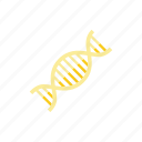 dna