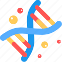 dna, molecule, strand