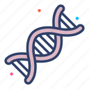 genes, dna, genetics, dna test, chemical composition, genetic, helix