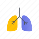 lungs, anatomy, breathe, medical, pulmonology