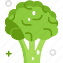 broccoli, food, vegan, vegetable, vegetarian