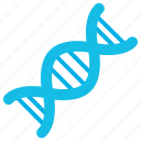 dna, gene, genetics, science, genome, chromosomes, molecule