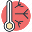 climate, temperature, temperature scale, thermometer, weather