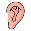 ear, anatomy, body, part