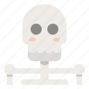 creepy, ghost, halloween, horror, human, skeleton, skull