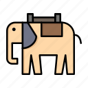 africa, animal, elephant, indian