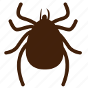 bug, gadfly, insect, insect pests, insecticide, louse, tick