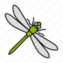 bug, dragonfly, flying, insect, odonata, tropical