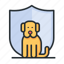 dog, shield, animals, pet insurance