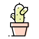 cactus, flowerpot, interior, plant