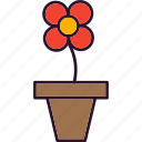 floral, flower, plant, pot