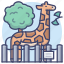 zoo, park, animal, giraffe 