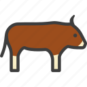 buffalo, bull, bullock, ox