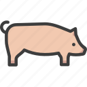 animal, farm, hog, pig, swine