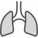 air, human, lungs, organ