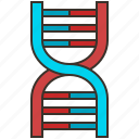 biotechnology, chemistry, chromosome, dna, genetic