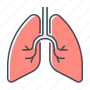 lungs, organ