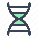 dna, gene, genetic, healthcare, helix, medical