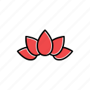 garden, lotus, nature