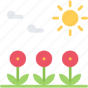 flower, sun, cloud, nature, landscape