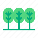 forest, tree, plant, green, nature, garden, gardening