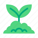 leaf, growth, tree, gardening, seed, nature, plant, planting, seedling