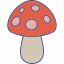 mushroom, psychedelics, shroom, fungi, fungus