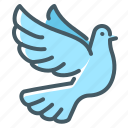 peace, dove, hope, pigeon, fly