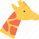 animal, giraffe, pet, pet shop, vet, zoo