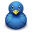 bird, blue