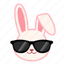 cool, emoji, emotion, expression, face, rabbit